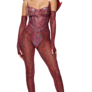 Slay Me Dragon Costume