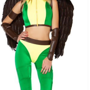 Fly High Sexy Comic Hero Costume